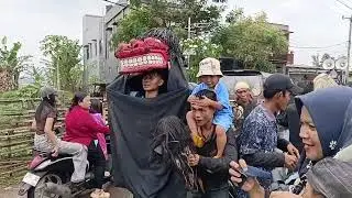 SAKING TAKUT NYA SITETEH AMPE JATOH. #LS #KUDALUMPING #DANGIANG_PUTRA_PASUNDAN DI LEMBUR SAWAH.