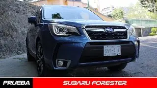 Subaru Forester a prueba - CarManía