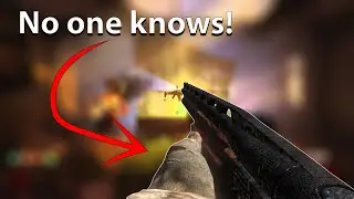 The best Gun in zombies that no one talks about!
