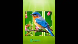 Easily create this effect in Photoshop #designtutorial #photoshoptutorial #Photoretouching