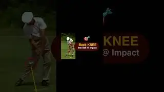 Trail Back KNEE Points into the ball @ impact #golf #golfer