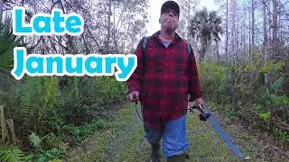 Late January Small Game Hunt in the Everglades
