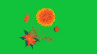 Animated Plant Growth Clip | Green Screen Nature Element