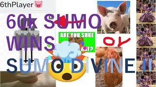 60k Sumo Wins  Sumo DIVINE II
