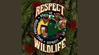 Respect Wildlife