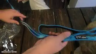 Showcasing the PLUTUS PET CORE Dog Leash