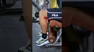 GU&Iacute;A EXTENSI&Oacute;N DE CU&Aacute;DRICEPS ✅ #legextension #cuadriceps #gymtips #gymrat #gymgirl #quads #gym #fit