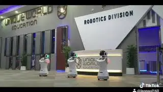 Sanbot at Inker Robotics
