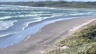 West Coast of NZ / Black Sand Beach / Raglan Beach