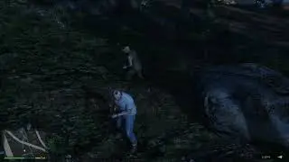 265000000 Budget - GTA V Bug
