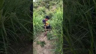 Mamas ngebolang  # exploring with kids # outdoor activities # fun family ideas # motherhood vlog