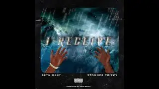 Bryn Many - I Receive (feat. Stonner Trippy) [VISUALIZED AUDIO]
