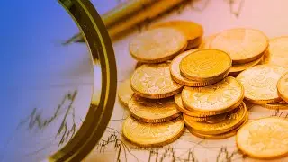China's foreign investment law to boost high level opening up