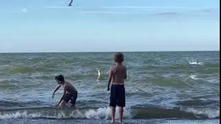 Lake Erie swim