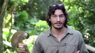 Monkey See