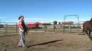 Respect Training 1 of 5