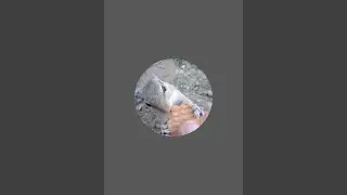 GILLU @FRIEND is live
