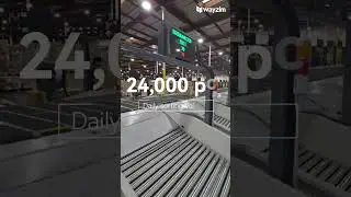 Wayzim&rsquo;s automated sorting system in LA