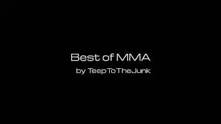 Headkick KO by 'Mr Wonderful' Phil Davis