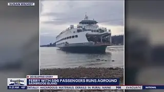 Passengers shaken up after Walla Walla ferry runs aground | FOX 13 Seattle