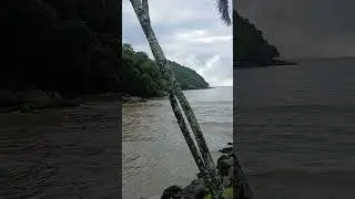 Uma vota ao c&eacute;rebro passado  futuro revejo 