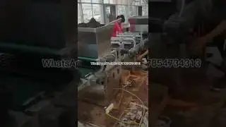 Precision seedling tray seeding production line
