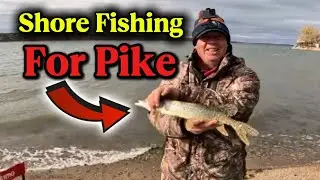 Fall Shore Fishing on Last Mountain Lake
