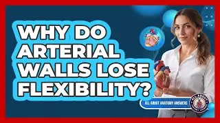 Why Do Arterial Walls Lose Flexibility?