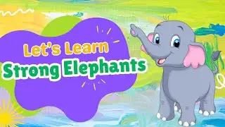 Let's Learn Strong Elephants[Short Sentence]English2 for beginners l Bitesize learning l Interactive