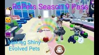RoPets Update Season 9 Pass & Halloween Event! Making Shiny Evolved Tiger, Elephant & Evolved Pets!
