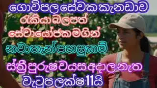 ගොවිපල සේවක රැකියා පුරප්පාඩු  කැනඩාව. general labour farm job vacancies in canada.