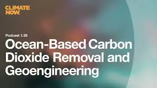 Ocean-Based Carbon Dioxide Removal and Geoengineering with Wil Burns | Climate Now Podcast Ep. 1.38