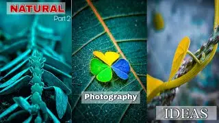 NATURAL MOBILE Photography IDEAS//Mobile Photography Tips #naturephotography @PIXELSTREET
