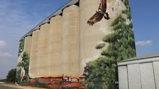 Silo art by Australian artist Heesco at Karoonda, east of Murray Bridge, South Australia, part 2