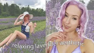 Lavender WIG TRANSFORMATION! ~relaxing vibes~