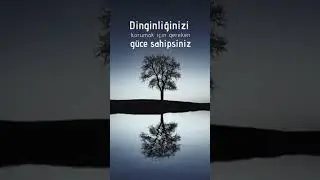L&Uuml;TFEN BEĞENDİYSENİZ ABONE OLUN #destekvekeşfet #live #insanolmak #destekolun #funny #music #sevgi