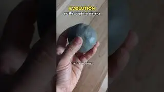 Эволюция и борьба за существование