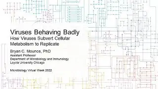 Viruses Behaving Badly: How Viruses Subvert Cellular Metabolism to Replicate