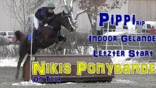 Nikis-Ponybande: Pippi - Indoor-Gel&auml;nde - letzter gemeinsamer Start