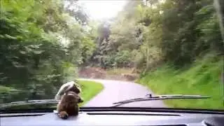 En camping-car vers le plateau de lhers lhers