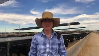 Louise Rush - Young Lot Feeder of the Year 2020, Grand Finalist