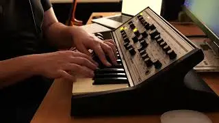 Some tones with a Moog Subphatty and my pedalboard - No Talk
