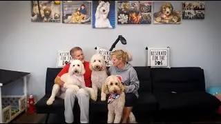 Meet the Campers 🐾| The Ultimate Doodle Dog Roll Call!