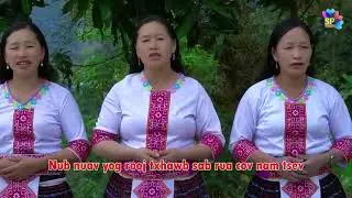 Ib tsoom nam tsev