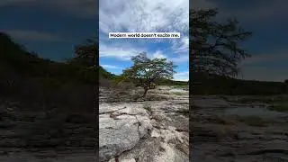 Share this with fellow tree lovers! #visittexas #pedernales #texashiking