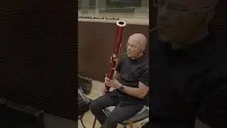 Flowerful Desert - Jorge Aliaga, European Recording Orchestra (ERO)