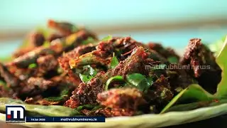 ഇവിടെ മത്തിയാണ് താരം! മത്തിയിൽ സ്പെഷ്യലൈസ് ചെയ്ത കുടുംബശ്രീയുടെ കീഴിൽ ഒരു ഹോട്ടൽ | Mathi