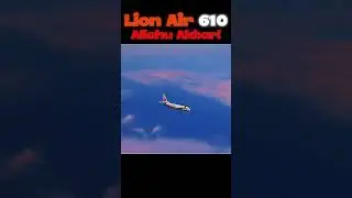 Pilot's Last Words Before Crashing [PT 7] (Audio Credits to  @Int3gral) #shorts #aviation
