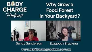 Why Grow a Food Forest in Your Backyard? - With Elizabeth Bruckner
