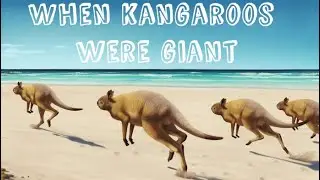 &ldquo;The Prehistoric Giant Kangaroo You&rsquo;ve Never Heard Of&rdquo;